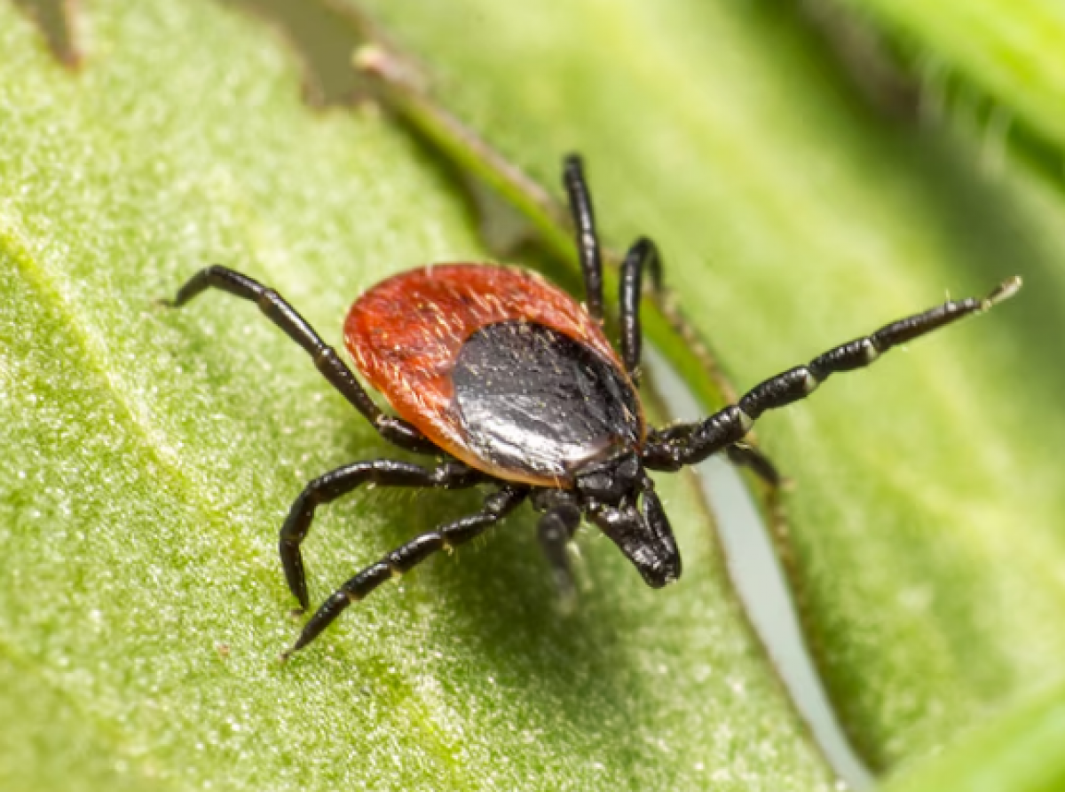 Фото: ru.freepik.com